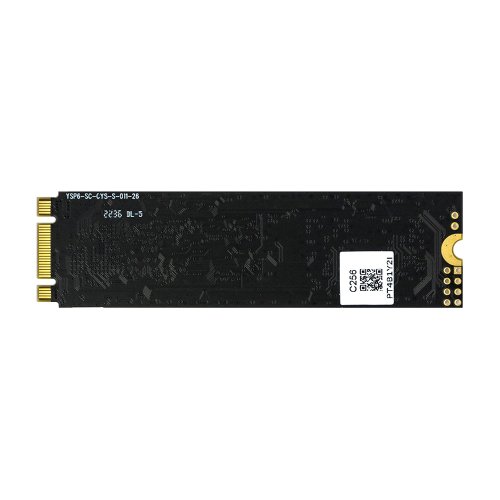   SSD M.2 NVMe PCIe 256 Gb Mirex M.2 (   2100 /,   1500 /)