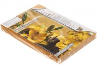 Обложки картон кожа А4, 230г/м2, песочные (100 шт) упаковка