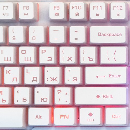   Nakatomi KMG-2305U White  + . ,    RGB-