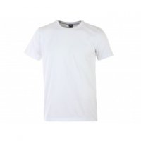  Evolution  (1-) /  62 (6 XL)  188