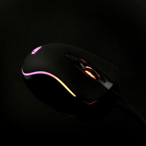  Qumo Onyx RGB M73, , ,  4 ,  RGB, 2400 dpi