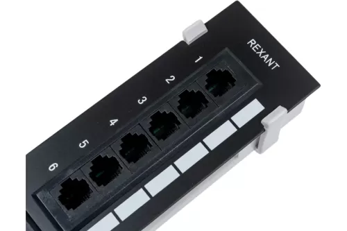 �������������� ������ (���� ������) Rexant ���������, 12 ������ RJ-45, ��������� 5�, UTP �����������